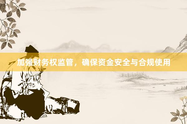 加强财务权监管，确保资金安全与合规使用