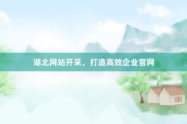 湖北网站开采，打造高效企业官网