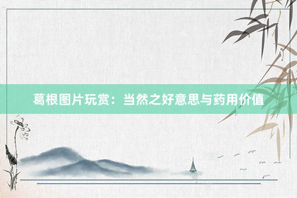 葛根图片玩赏：当然之好意思与药用价值