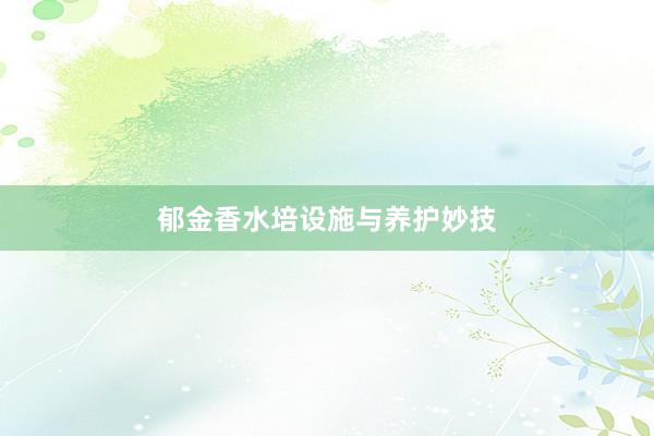 郁金香水培设施与养护妙技